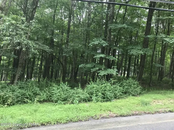 Slutter Rd, Pocono Lake, PA 18347