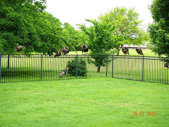 3rd image of 20411 Deer Hollow Dr