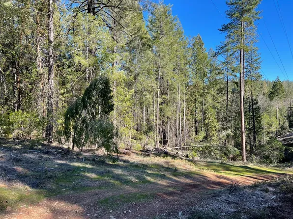 4 Pine Mountain Rd, Foresthill, CA 95631