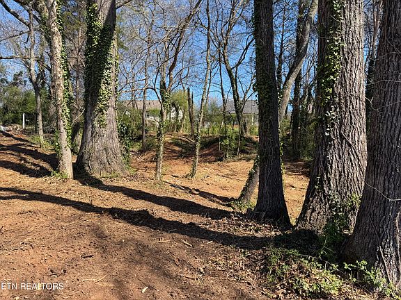 3rd image of 210 Chatuga Way