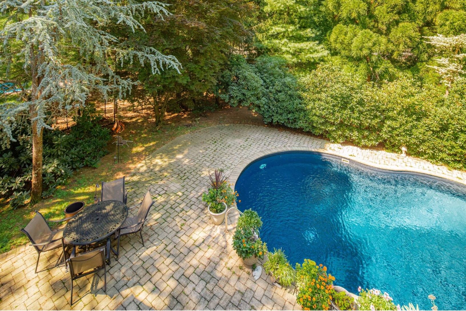  Overlooking the backyard pool