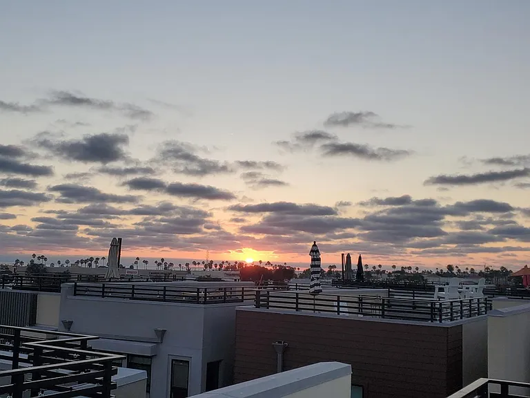 Rooftop View