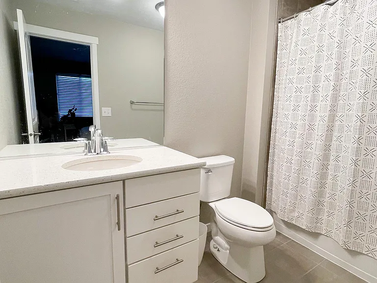 Lower-level Bathroom