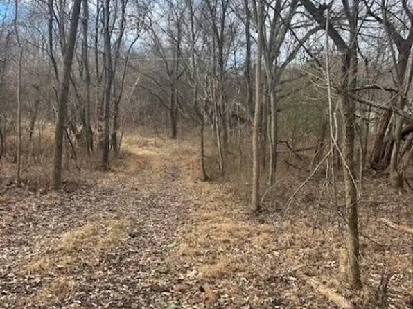 0 Mayo Rd, Adams, TN 37010