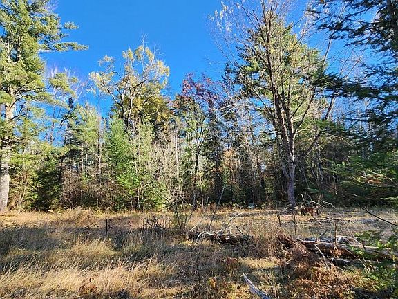 4th image of N13275 N Fork Rd