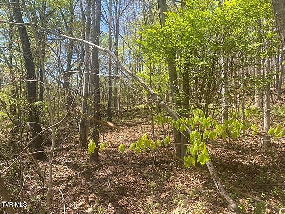 3rd image of LOT 24 Tanasi Dr