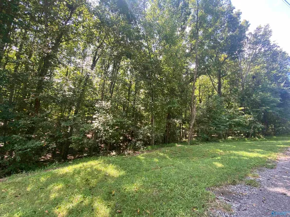 LOT 3 County Rd Lot 2-66, Fort Payne, AL 35967