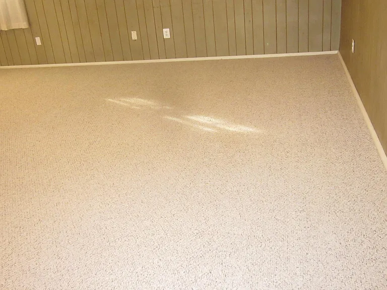 1104 Desale St SW — Photo 32