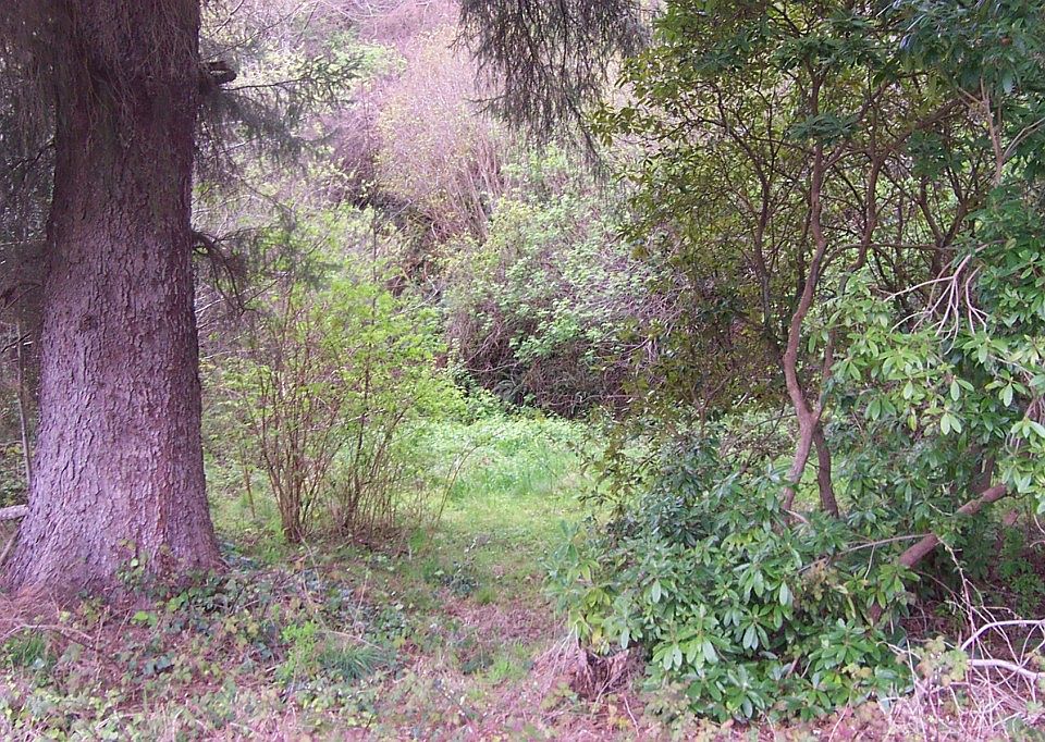 121700 Highway 101 None, Orick, CA 95555 MLS 230337 Zillow