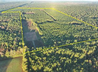 6504 State Highway 10 W, Clopton, AL 36317