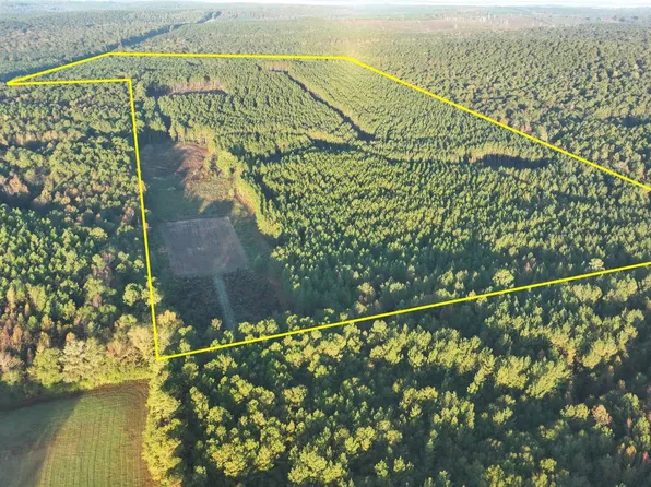 6504 State Highway 10 W, Clopton, AL 36317