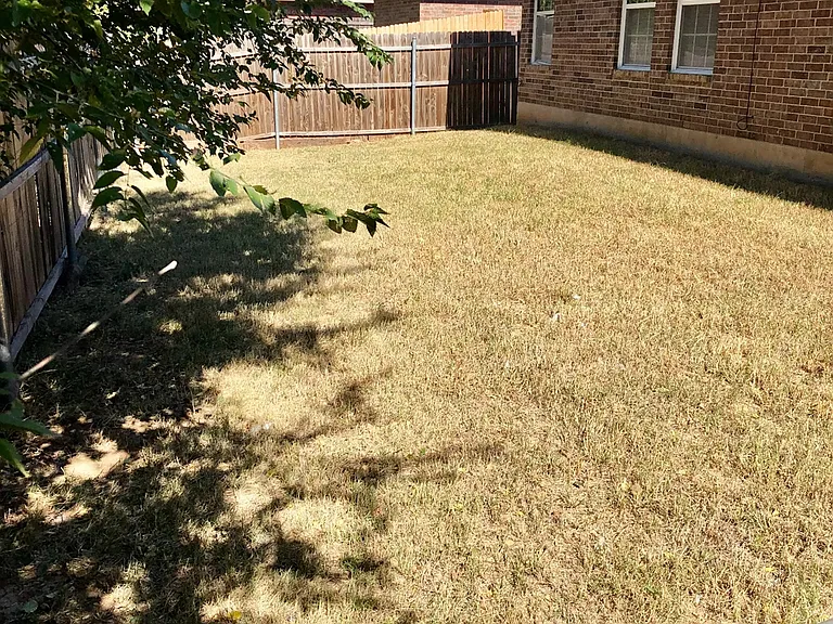 233 Spring Creek Rd — Photo 14