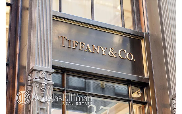Rented by Douglas Elliman | media 47