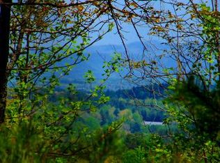 Township Road 21 Cashes Valley, Blue Ridge, GA 30513