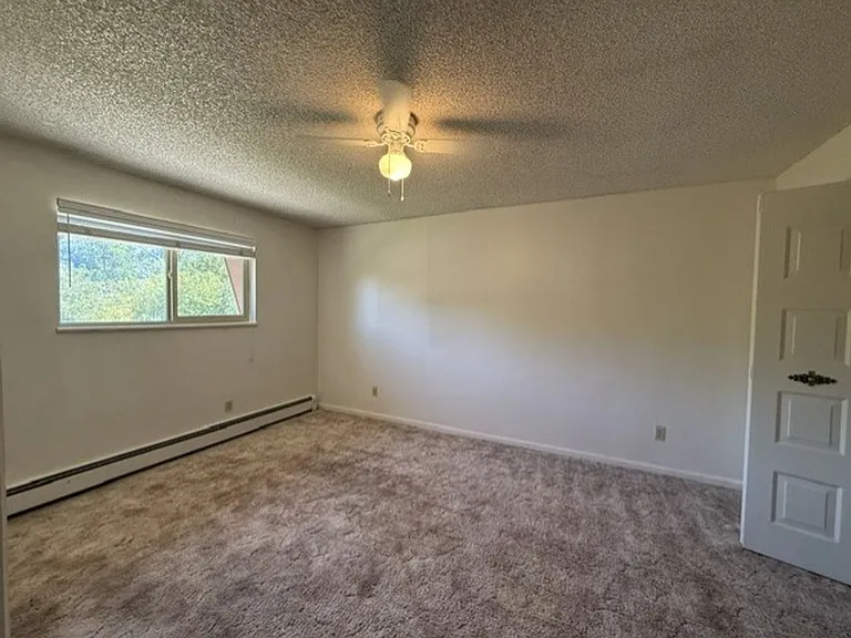4725 Mountain Rd — Photo 6