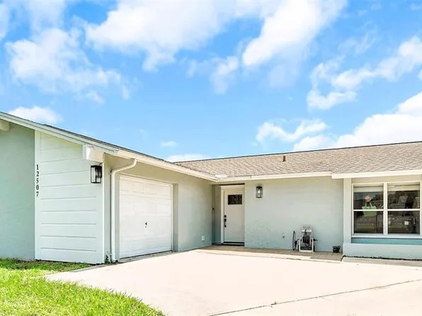 12507 Limpet Dr, Tampa, FL 33625