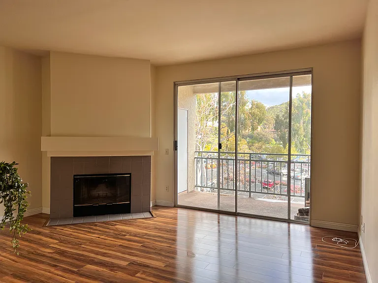 Living room, hardwood floor, wood fireplace, balcony, and storage closet