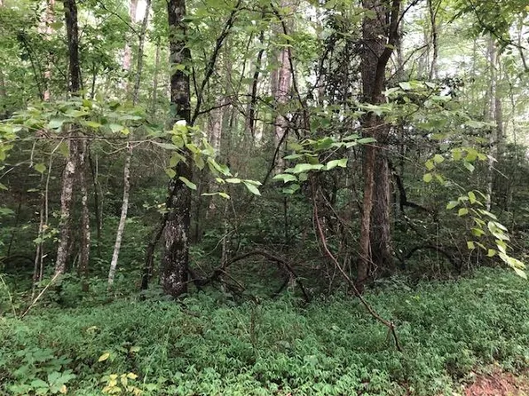 0 Springwood Lake Rd, Robbinsville, NC 28771