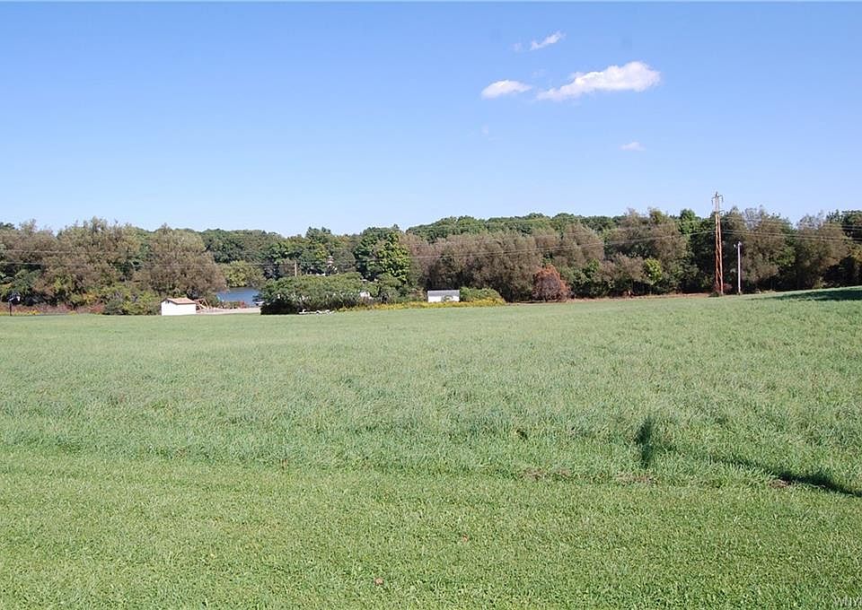 2nd image of Frisbee Rd