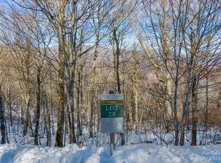 28 Black Bear Dr, Mars Hill, NC 28754