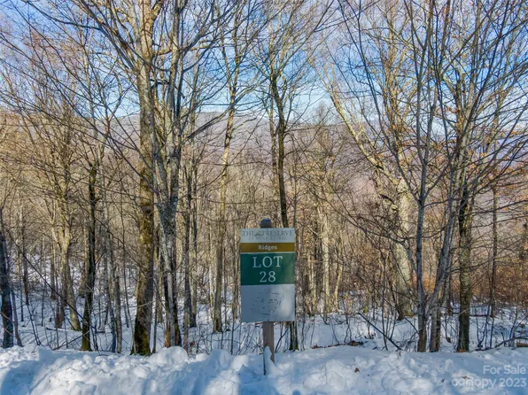 28 Black Bear Dr, Mars Hill, NC 28754