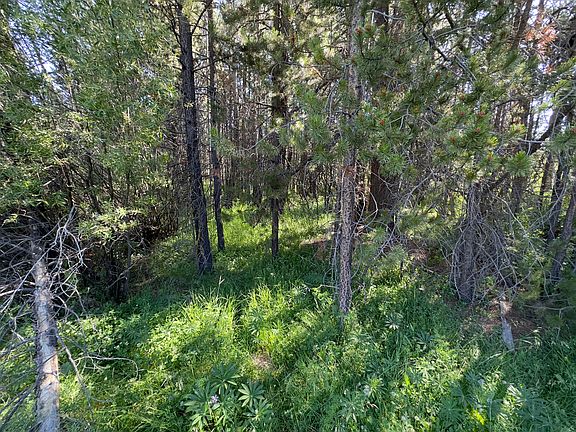 4th image of 16320 Bear Ln Lot 3