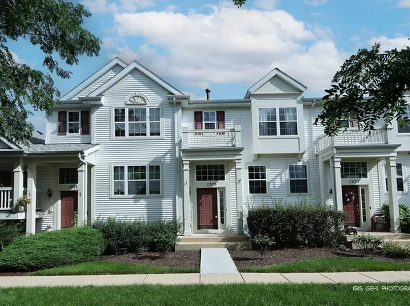 1225 Driftwood Ln, Hampshire, IL 60140
