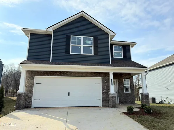 245 Chimney View Loop, Blountville, TN 37617