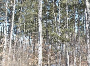 11851 21 Mile Rd, Sand Lake, MI 49343