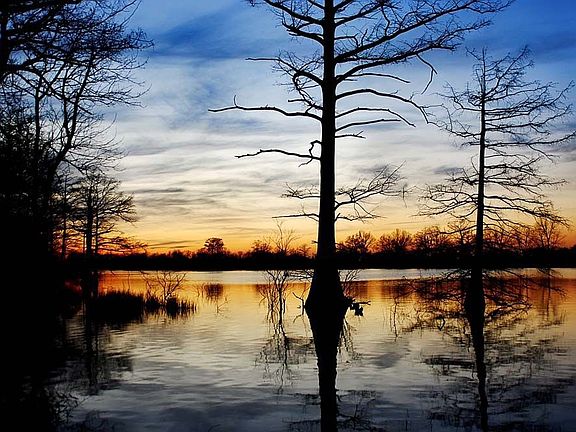 Lake View from Backyard
