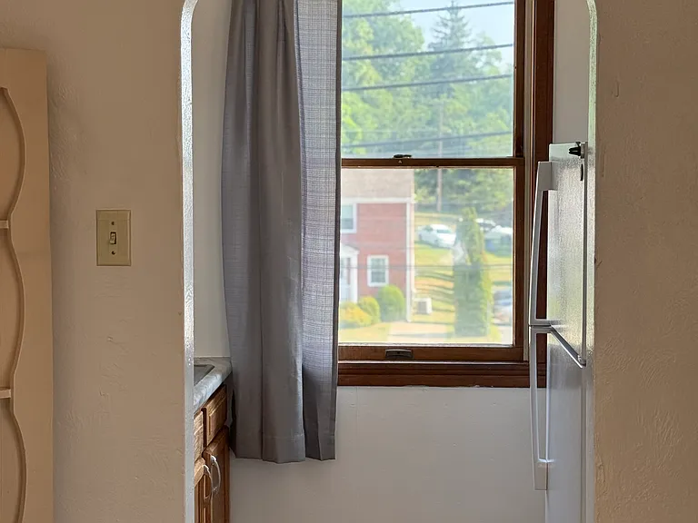 419 Shady Ave — Photo 8