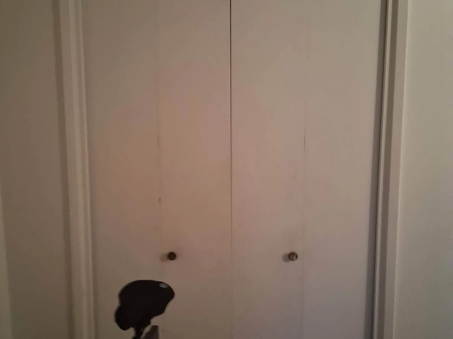 2 bed, 902 sqft, $675 — Photo 4