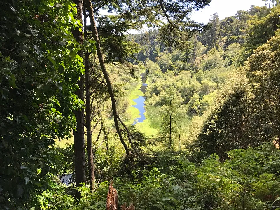 Pudding Creek River at the back of the property