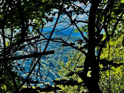 0 Turkey Ridge Rd, Bryson City, NC, 28713