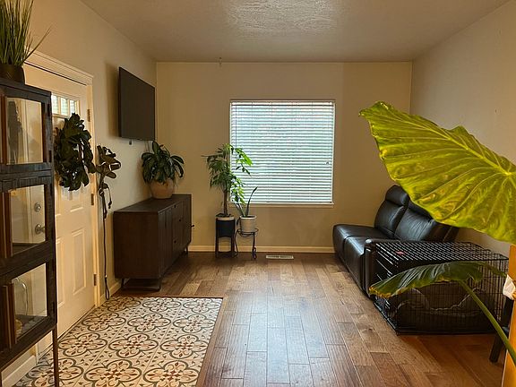 Entryway and living space.