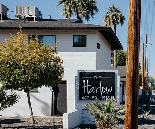 The Harlow Apartments Photo 1