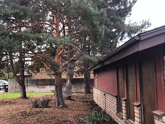 Large, mature trees offer shade and privacy