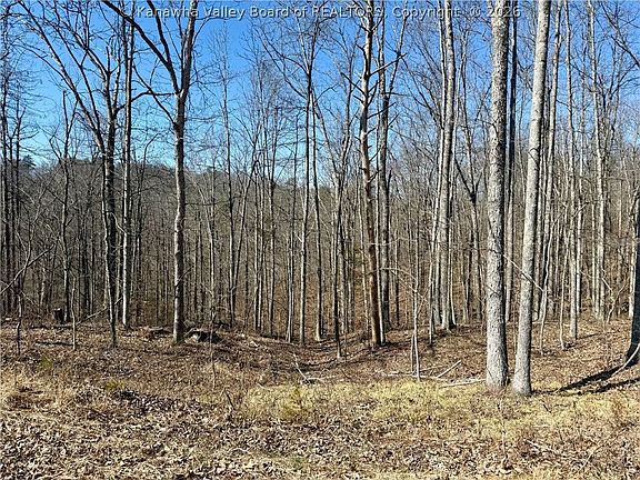 5th image of 0 Blessing Ln