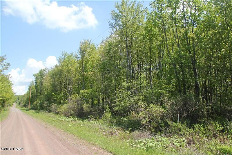 2nd image of Spruce Lake Rd