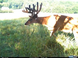 29969 Hot Iron Dr, Chatfield, MN 55923