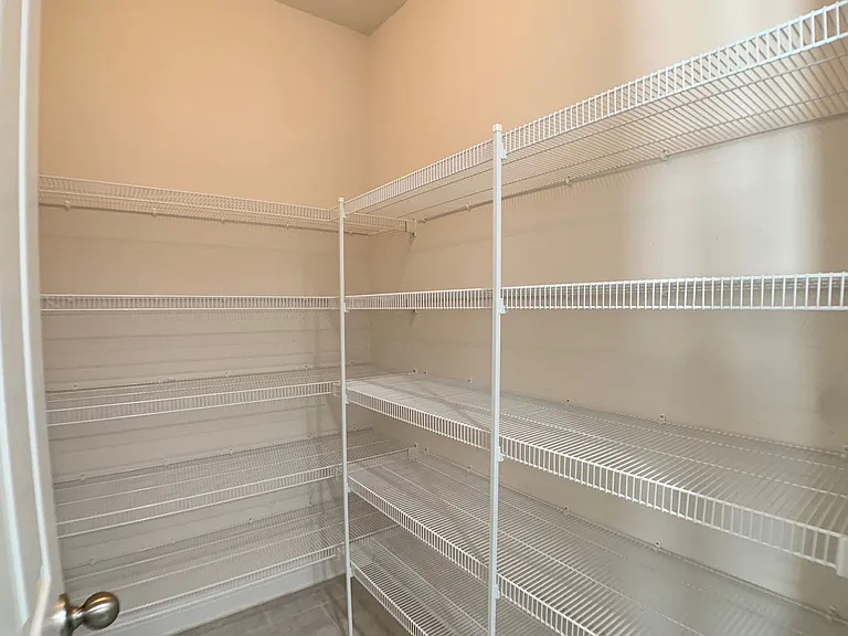 1499 Tropical Pine Cv — Photo 18