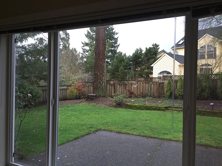 backyard view (from family room)