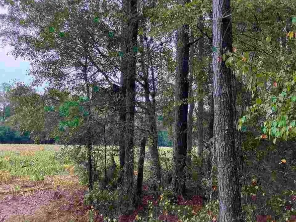 Ruth Ct, Mullins, SC 29574