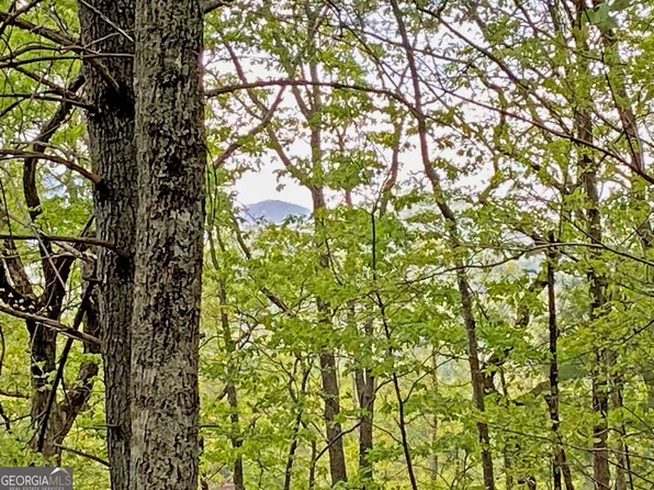 0 Pine Knot Dr, Cleveland, GA 30528