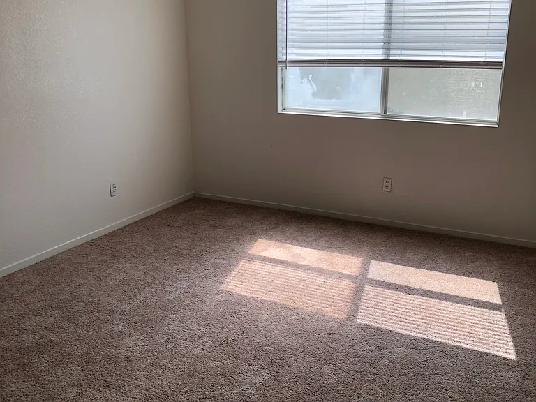 8742 Weeping Birch Ln — Photo 34