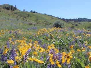 Nna Olalla Canyon Rd, Leavenworth, WA 98826