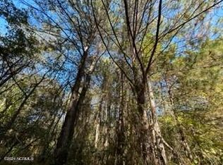 0 Wolfe Run Rd, Burgaw, NC 28425