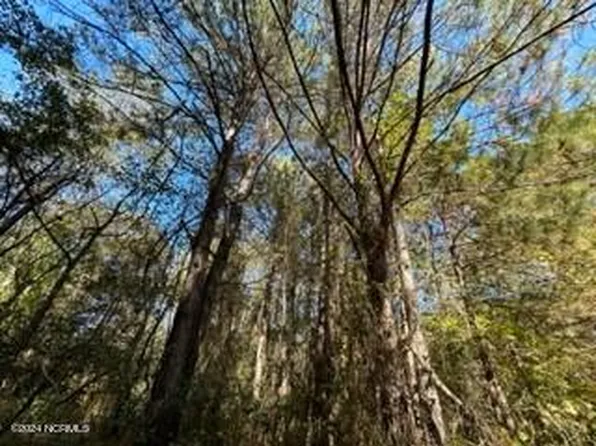 0 Wolfe Run Road, Burgaw, NC 28425