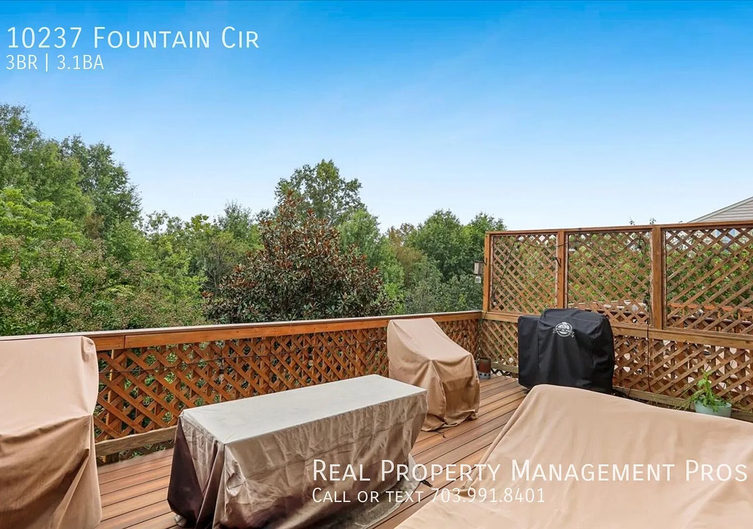 Backs to Trees-Qualify for a zero deposit? — Photo 2