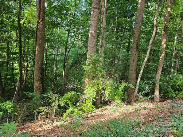 0 General Griffith Cir #31, Rutherfordton, NC 28139